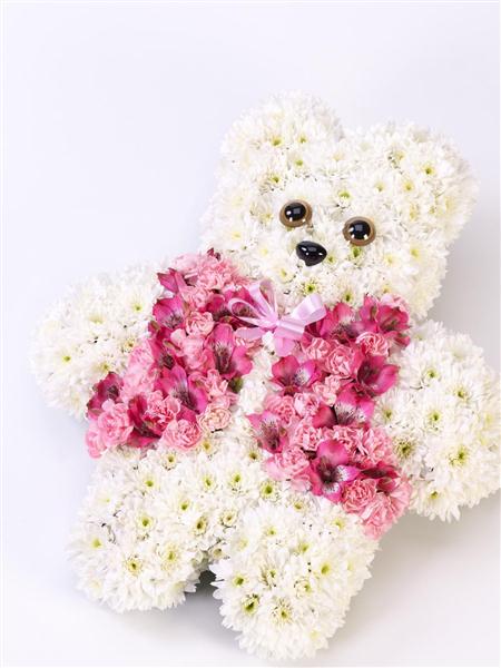 Pink Foam Rose Bear 40 cm — Plenty Flowers